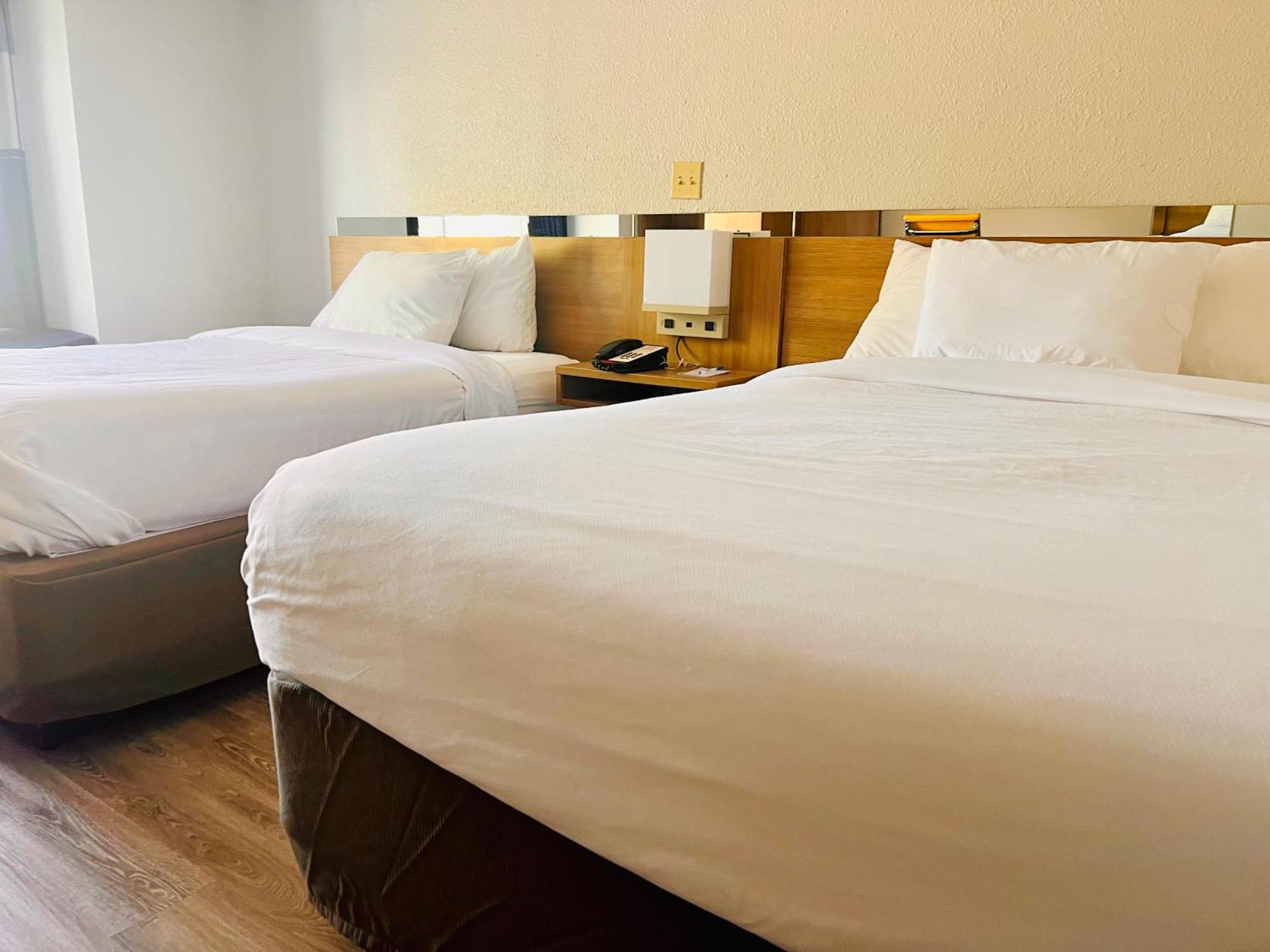 Microtel Inn By Wyndham לקסינגטון מראה חיצוני תמונה