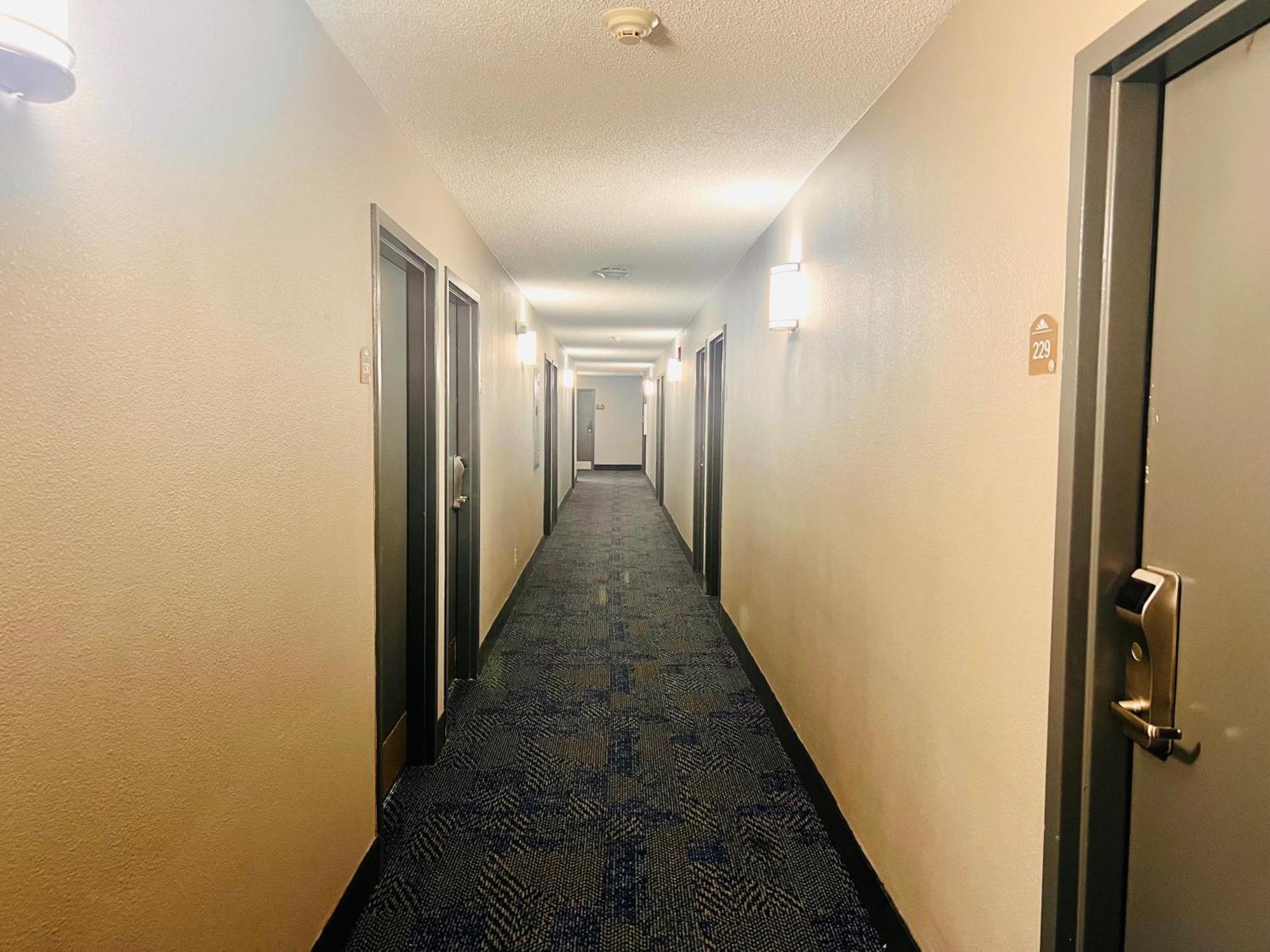 Microtel Inn By Wyndham לקסינגטון מראה חיצוני תמונה