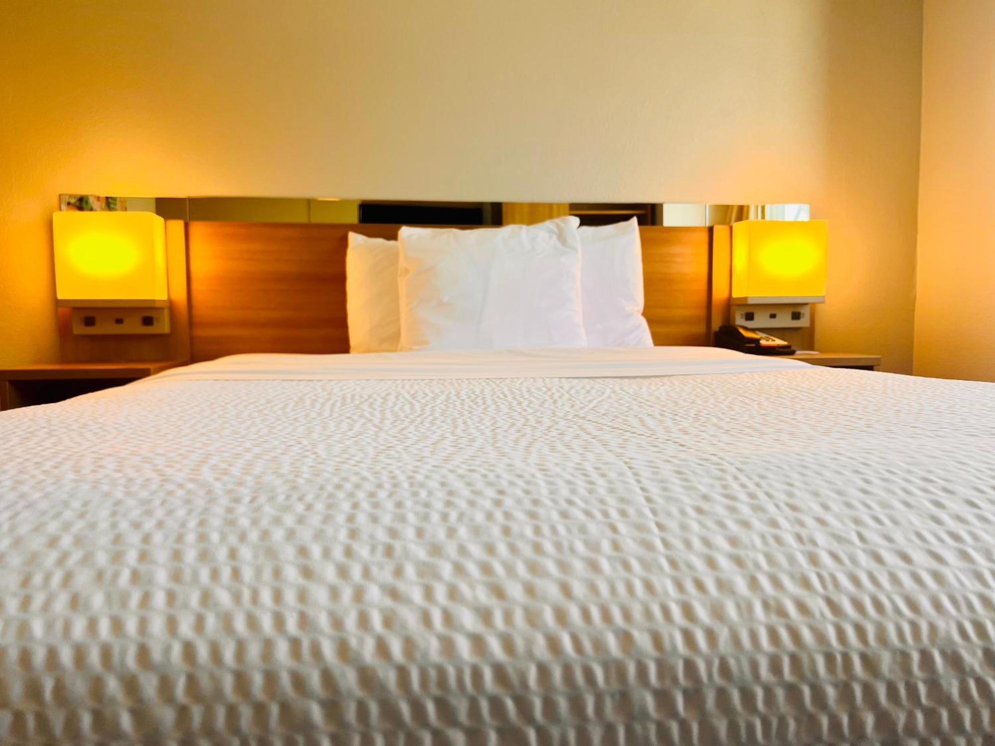 Microtel Inn By Wyndham לקסינגטון מראה חיצוני תמונה