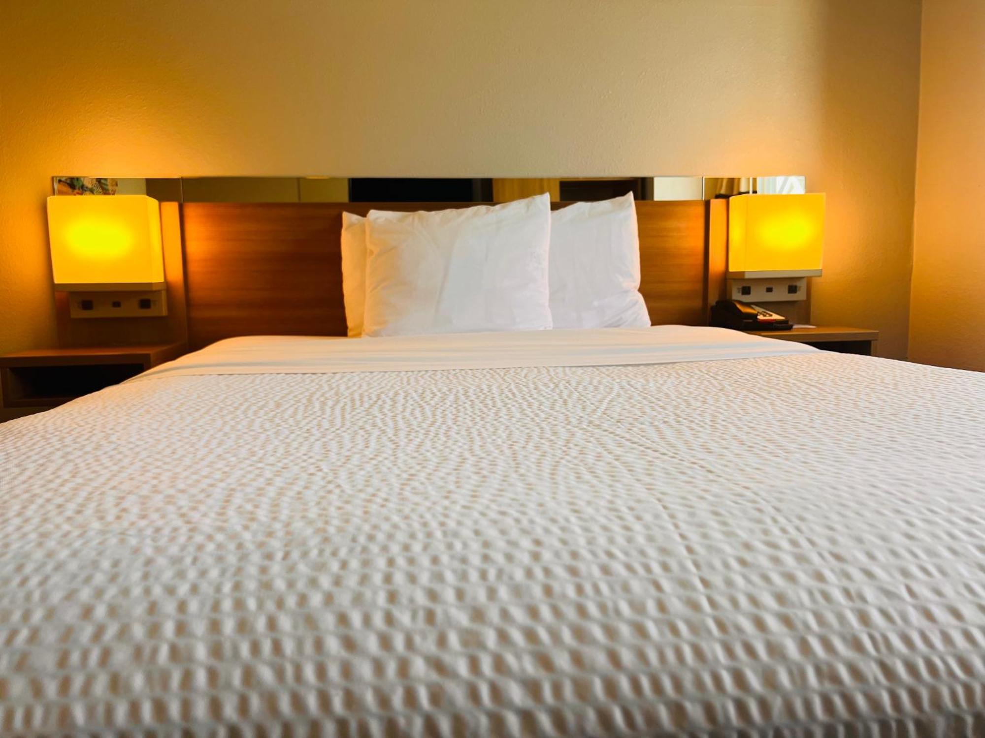 Microtel Inn By Wyndham לקסינגטון מראה חיצוני תמונה